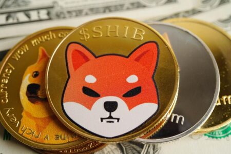 How to Buy Shiba Inu Coin